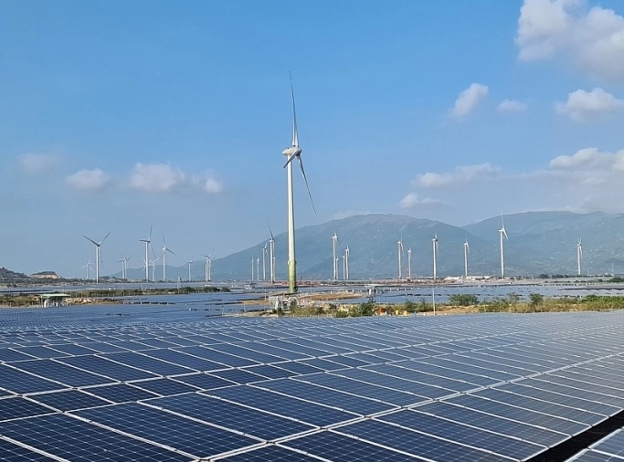 Trungnam Group “Ông Trùm” năng lượng tái tạo có nhà máy điện gió lớn nhất Việt Nam